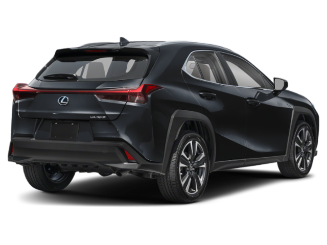 2025 Lexus UX photo 2