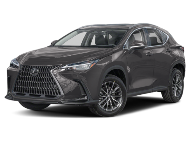 2024 Lexus NX 250's photo