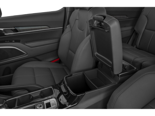 2025 Kia Telluride EX photo 10