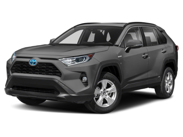 2019 Toyota RAV4 XLE's photo