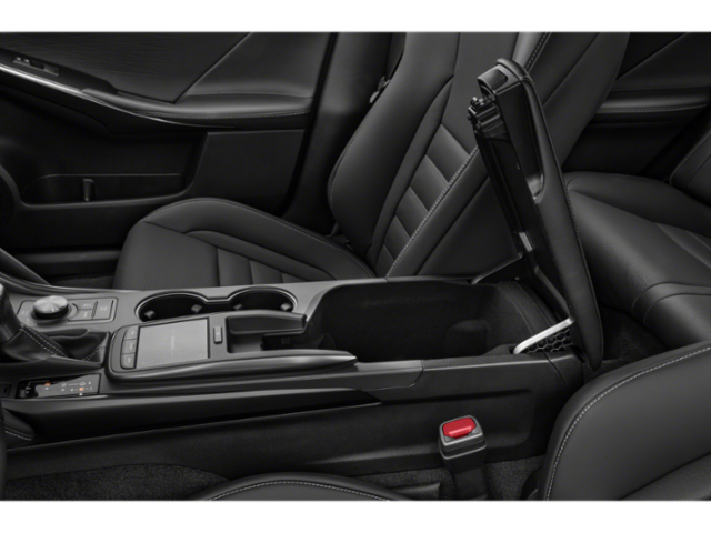 2023 Lexus IS F SPORT photo 11