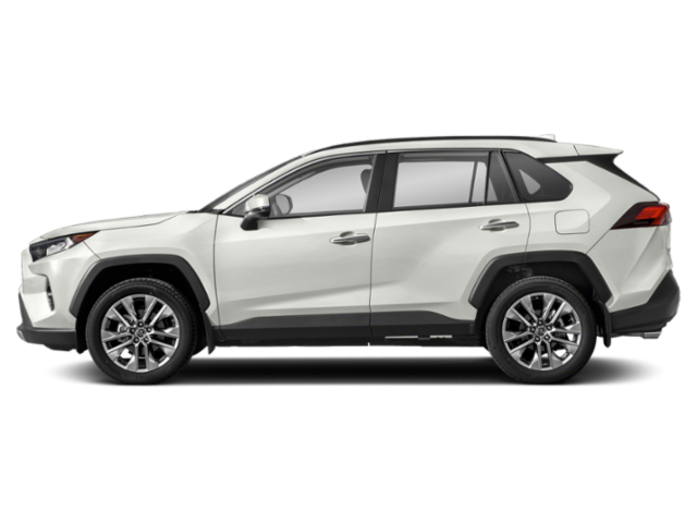 2019 Toyota RAV4 Limited photo 3