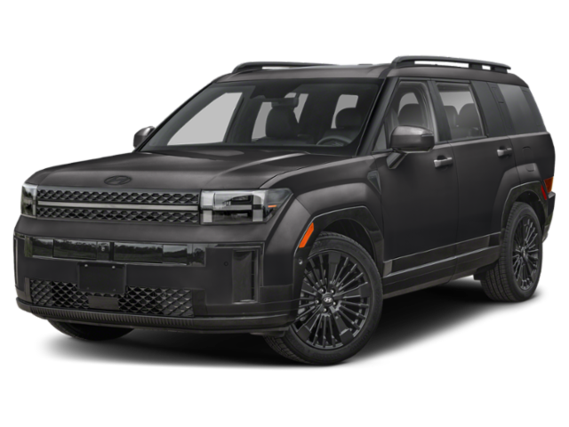 New 2025 PHANTOM BLACK/BEIGE Hyundai Calligraphy image 1