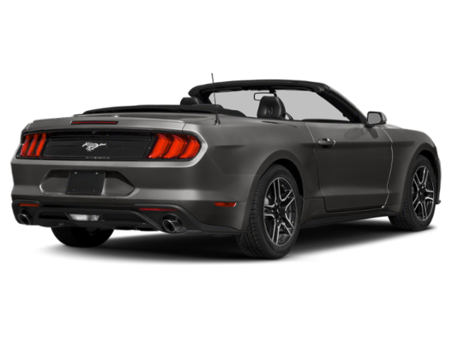 Used 2019 Ford Mustang EcoBoost Premium with VIN 1FATP8UH2K5138769 for sale in Okatie, SC