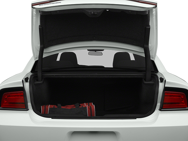 2014 Dodge Charger SE photo 4