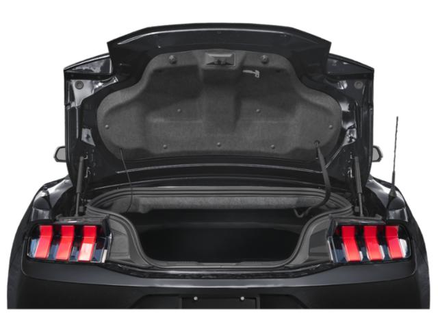 2025 Ford Mustang GT Premium photo 8