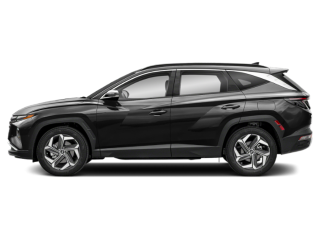 2024 Hyundai Tucson Limited photo 5