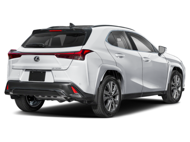 2025 Lexus UX F SPORT Design photo 2