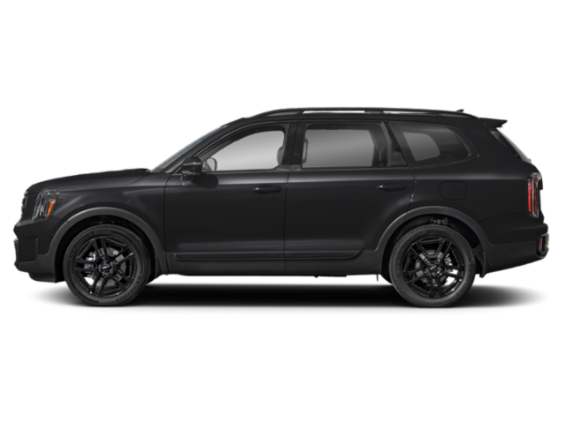 2025 Kia Telluride SX Prestige X-Line photo 3