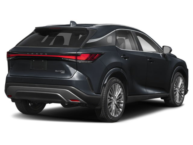 2025 Lexus RX 350 Luxury photo 2