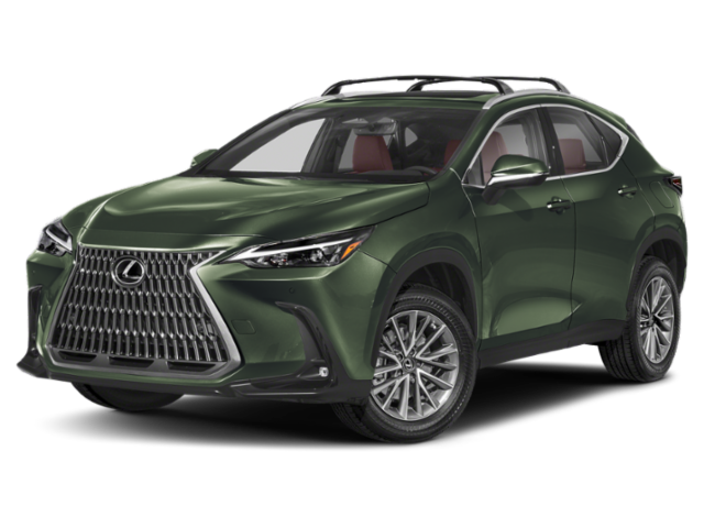 2024 Lexus NX 350's photo