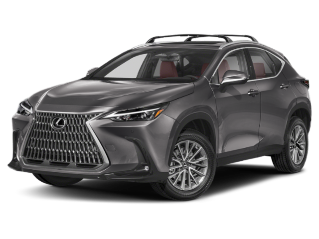 New 2025 Cloudburst Gray Lexus Premium image 1