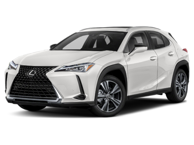 2020 Lexus UX 200's photo
