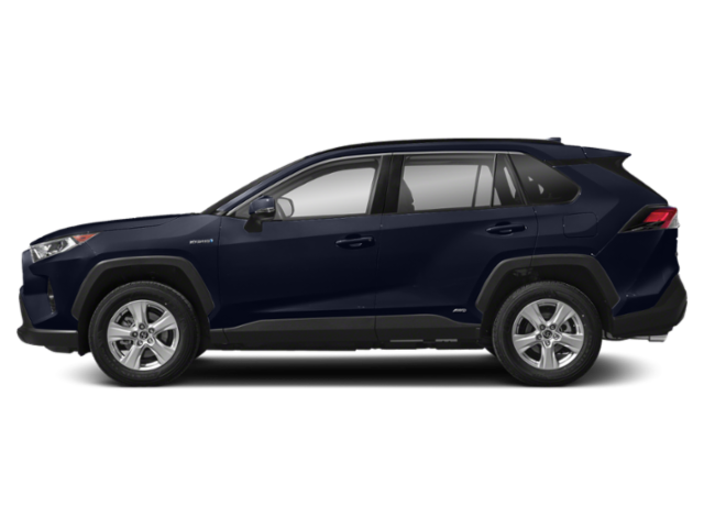 2019 Toyota RAV4 XLE photo 3