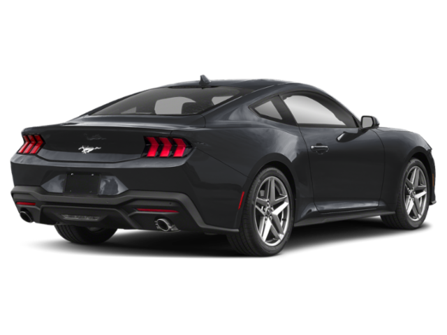 2025 Ford Mustang EcoBoost photo 23