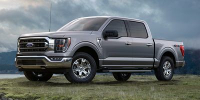 2021 Ford F-150 Platinum's photo