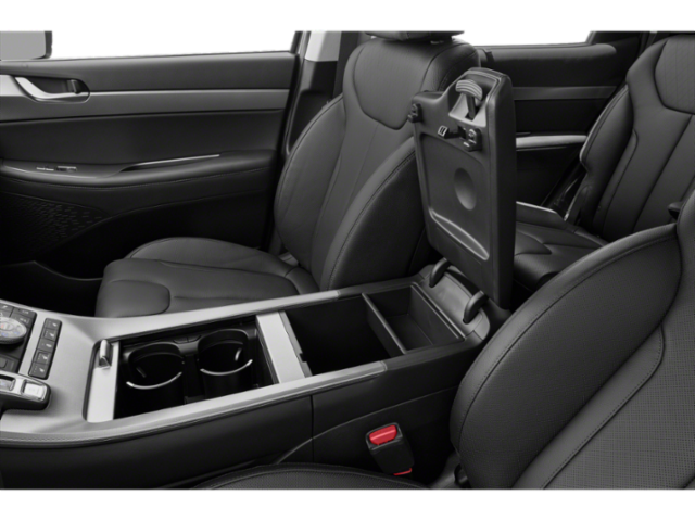 2020 Hyundai Palisade SEL photo 10