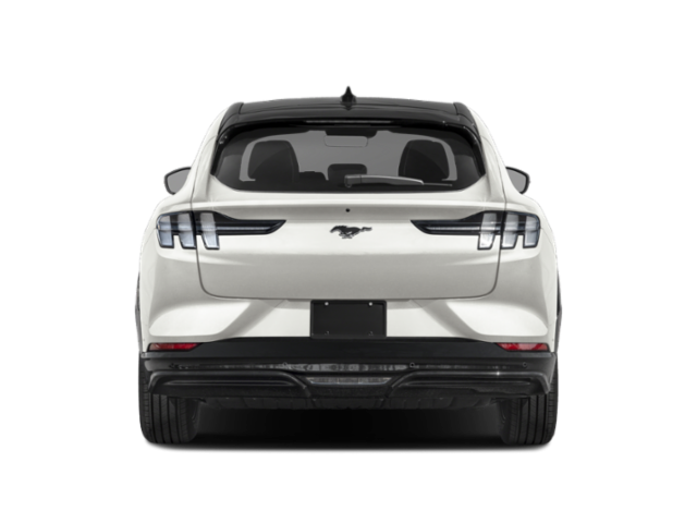 2025 Ford Mustang Mach 1 photo 3