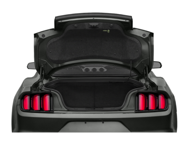 2015 Ford Mustang EcoBoost photo 9