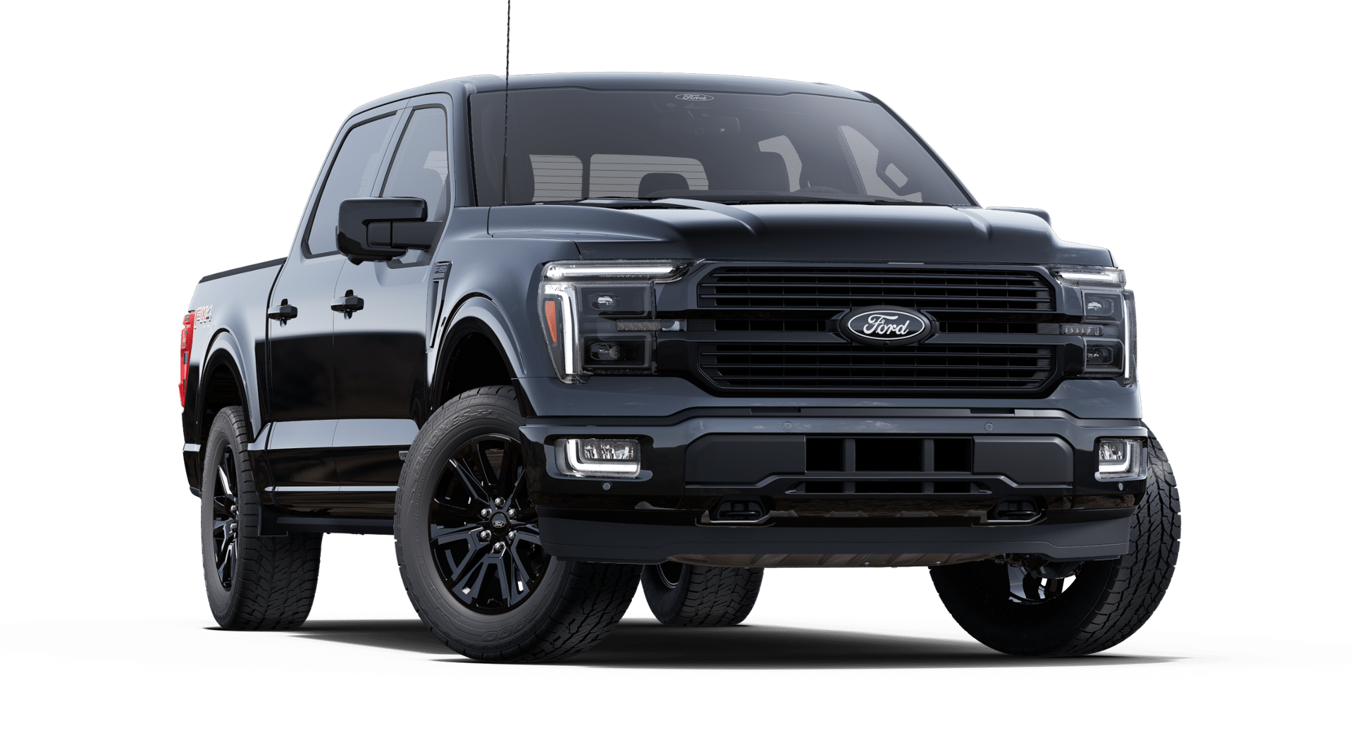 2025 Ford F-150 Platinum photo 19