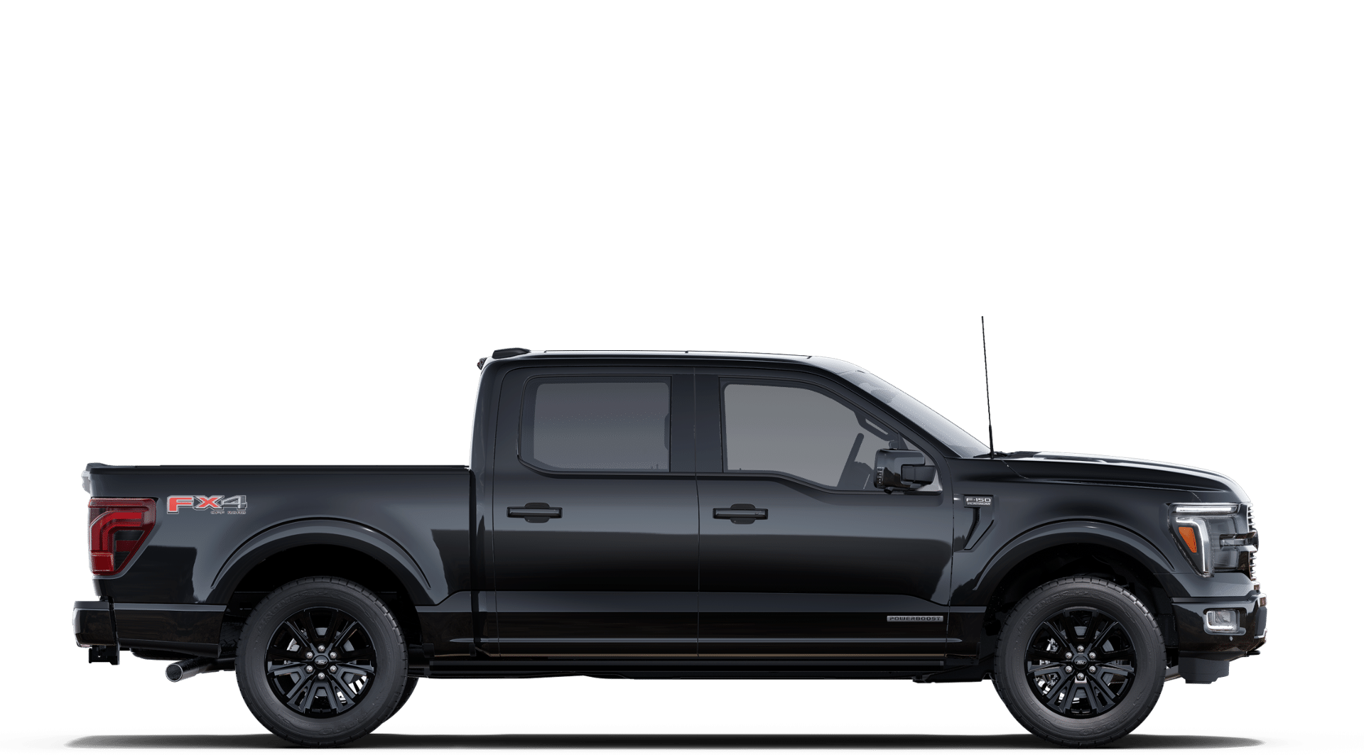 2025 Ford F-150 Platinum photo 20