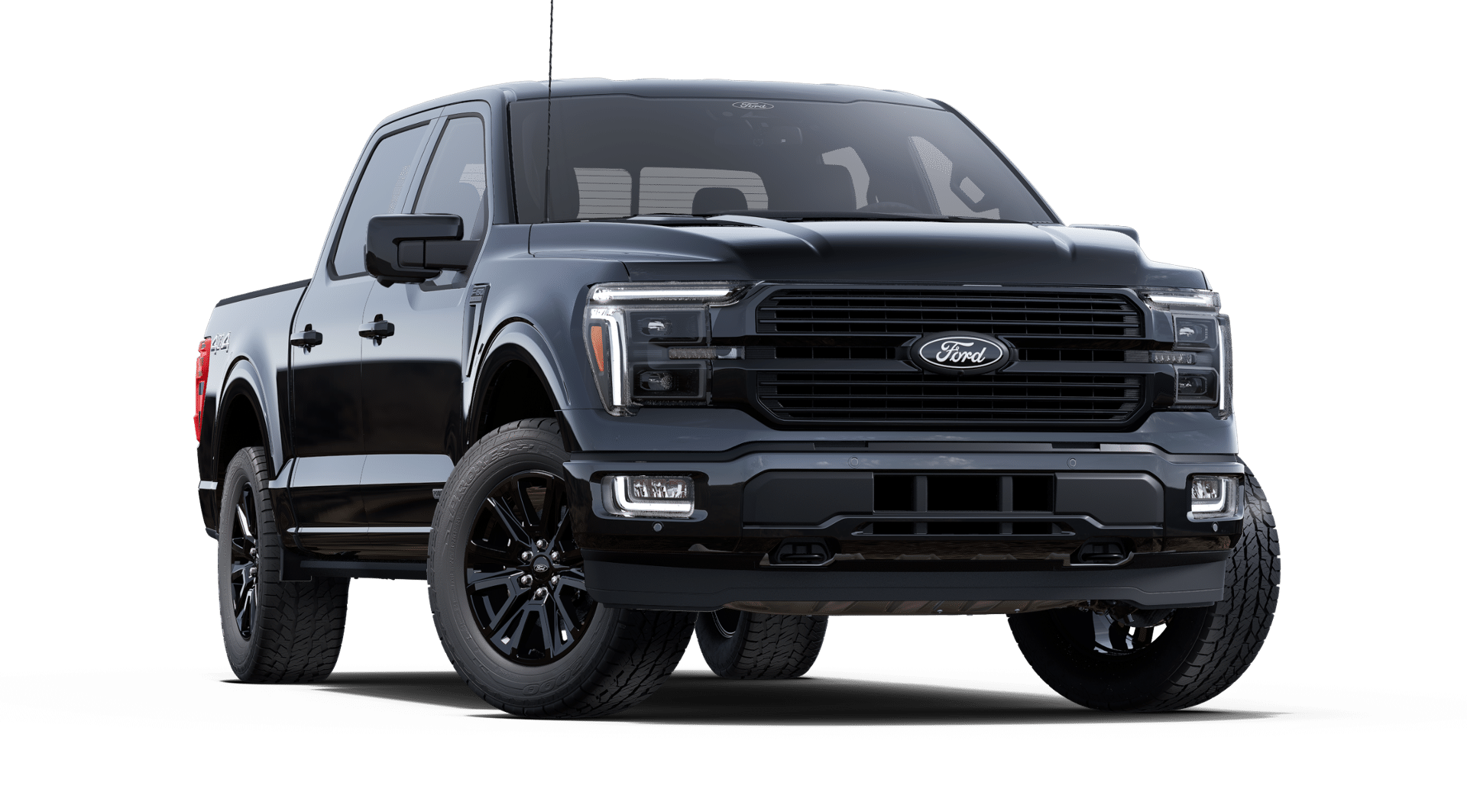 2025 Ford F-150 Platinum photo 19