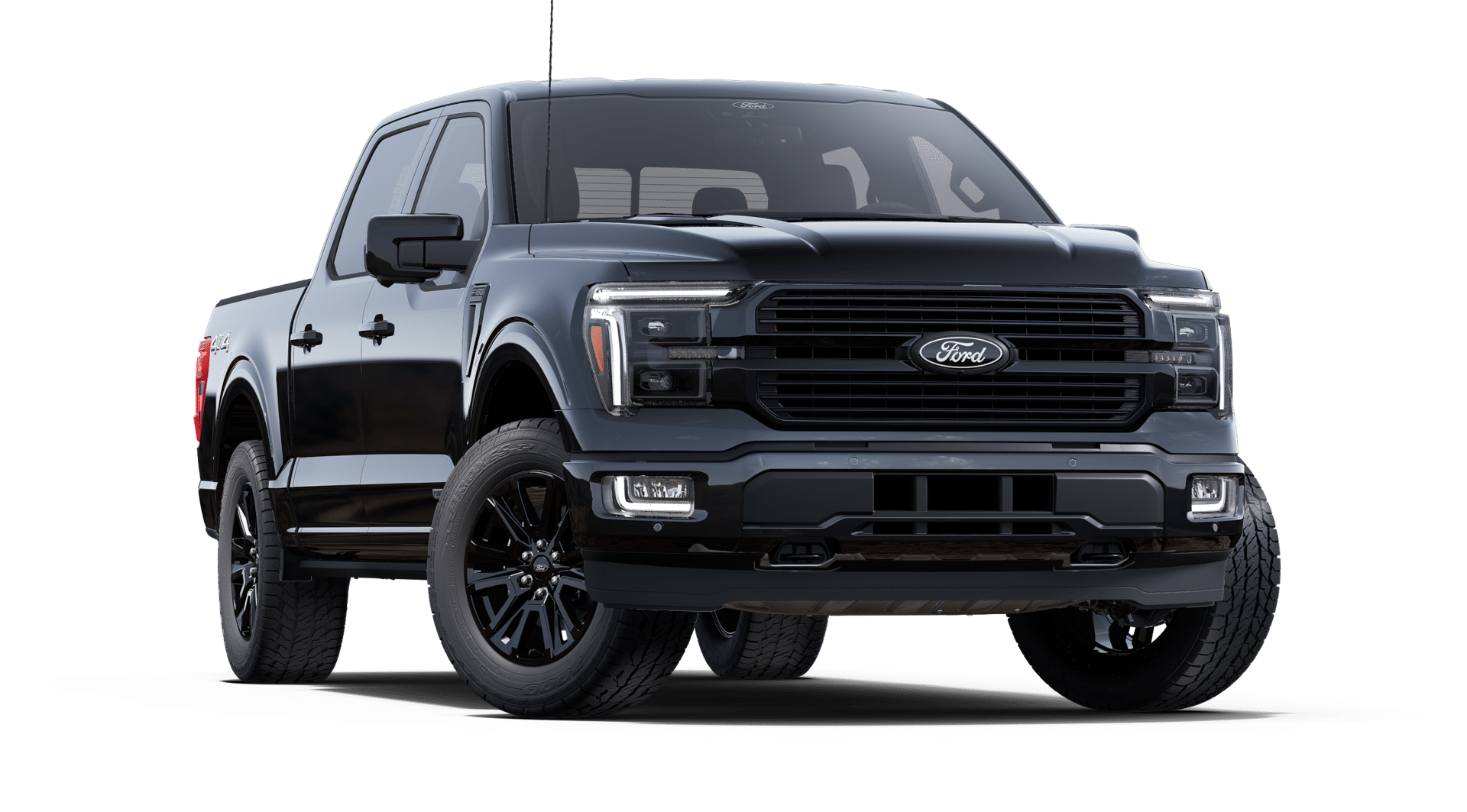 2025 Ford F-150 Platinum photo 23