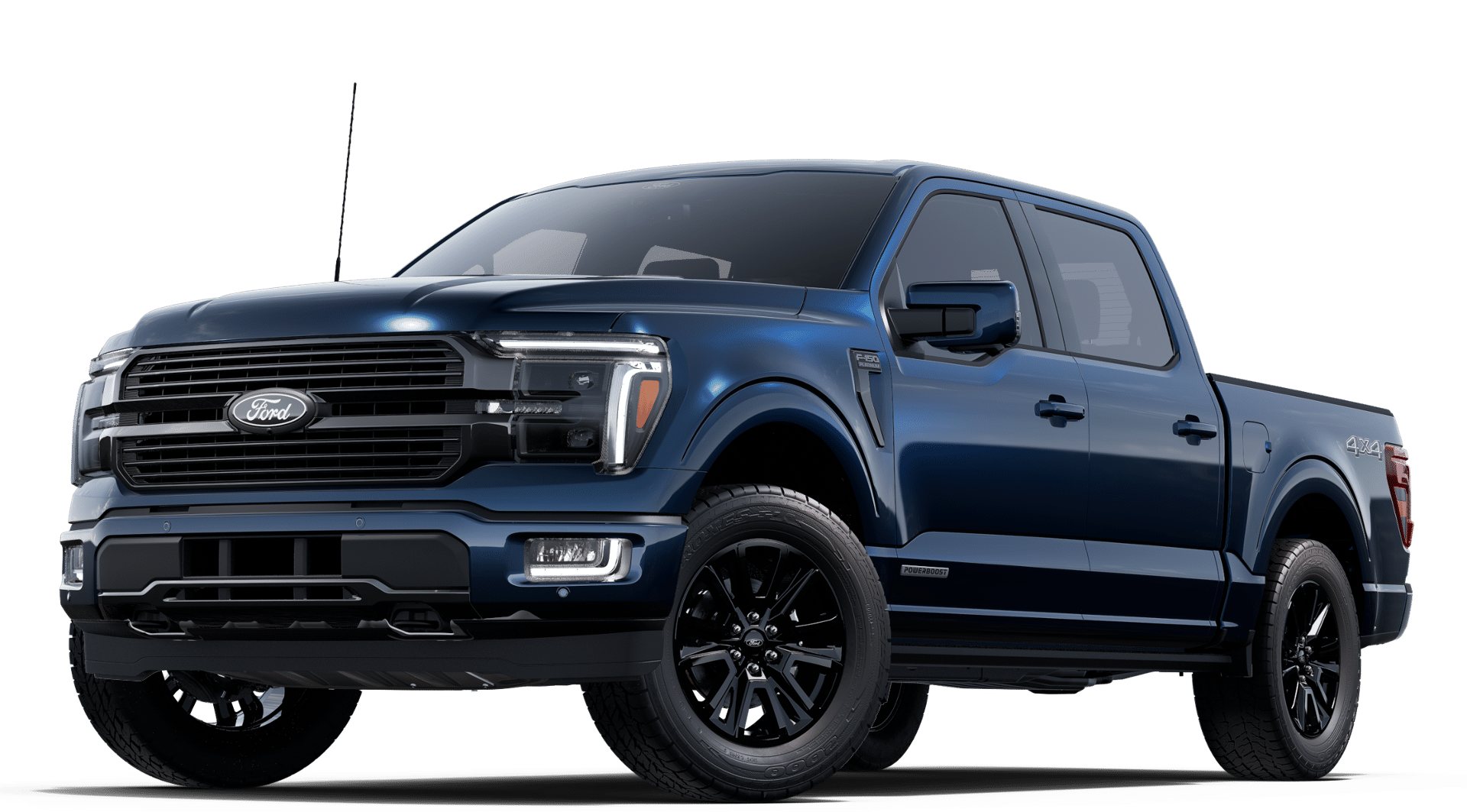 2025 Ford F-150 Platinum photo 20