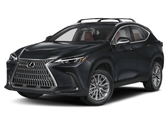 2025 Lexus NX Premium