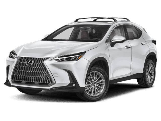 2025 Lexus NX Luxury